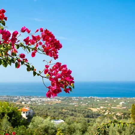 Vila Garifallia *